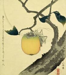 Moon (Hokusai) - Muzeo.com