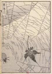 Mount Fuji seen through a spider web (Hokusai) - Muzeo.com