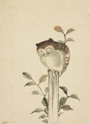 Owl Asleep on a Stump (Hokusai) - Muzeo.com