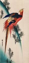 Pheasant & Small Pine (Hiroshige) - Muzeo.com