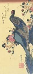 Pheasant and Chrysanthemums (Hiroshige) - Muzeo.com