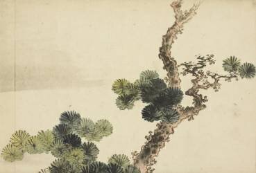 Pine Bough (Hokusai) - Muzeo.com