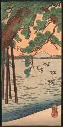 Pine Tree on the Shore (Utagawa Kuniyoshi) - Muzeo.com