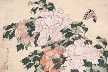 Pink and Red Peonies Blown to the Left in a Breeze and a Butterfly (Hokusai) - Muzeo.com