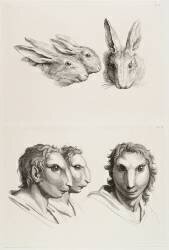 Planches 25 a et 25 b : trois têtes de lièvres et trois têtes d'hommes en relation avec le lièvre (Charles Le Brun) - Muzeo.com