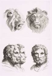 Planches 26 a et 26 b : deux têtes de lions et trois têtes d'hommes en relation avec le lion (Charles Le Brun) - Muzeo.com