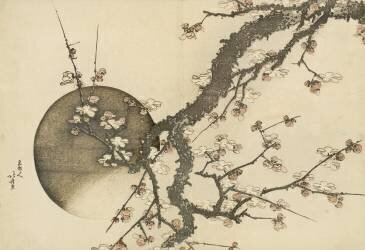 Plum Blossom and the Moon from the book Mount Fuji in Spring (Hokusai) - Muzeo.com