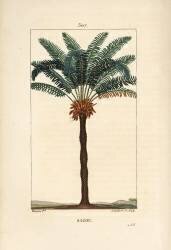 Sagou (Pierre Jean Francois Turpin) - Muzeo.com