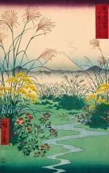 The Otsuki Plain in Kai Province (Hiroshige) - Muzeo.com