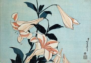 Trumpet lilies (Hokusai) - Muzeo.com