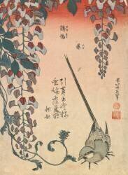 Wagtail and Wisteria (Hokusai) - Muzeo.com