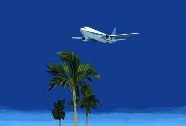 Airplane and palm tree (Hiroyuki Izutsu) - Muzeo.com
