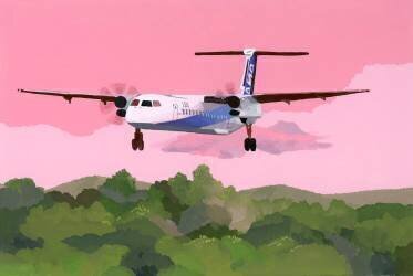 Airplane landing at a small airfield (Hiroyuki Izutsu) - Muzeo.com
