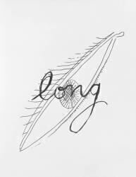 Alphabet pour adulte : Long (Man Ray) - Muzeo.com