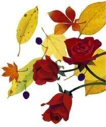 Autumn leaves and rose (Hiroyuki Izutsu) - Muzeo.com