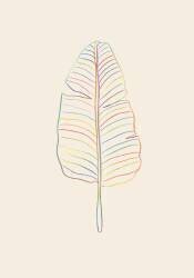 Banana Rainbow Leaf (1x Studio) - Muzeo.com