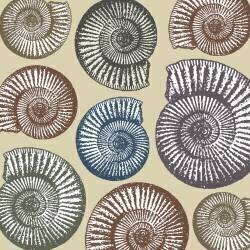 Jurassic Coast (Sarah Hough) - Muzeo.com