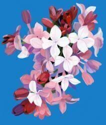 Lilac (Hiroyuki Izutsu) - Muzeo.com