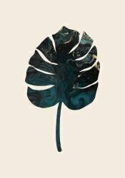 Monstera (1x Studio) - Muzeo.com