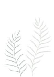Pale Plants (1x Studio II) - Muzeo.com