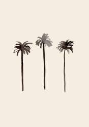 Palm Trees Ink (1x Studio) - Muzeo.com