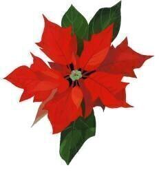Poinsettia (Hiroyuki Izutsu) - Muzeo.com