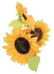Sunflower (Hiroyuki Izutsu) - Muzeo.com
