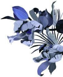 Tulip drawn in gray tone (Hiroyuki Izutsu) - Muzeo.com