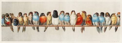 A Perch of Birds (Hector Giacomelli) - Muzeo.com