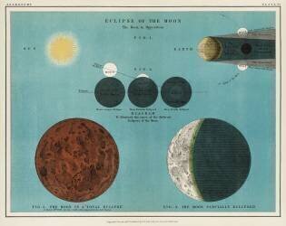 An astronomy lithograph the Eclipse of the Moon (anonymous) - Muzeo.com