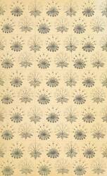 Arts and Crafts design (William Morris) - Muzeo.com