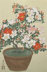 Azalea in Pot (Ohara Koson) - Muzeo.com