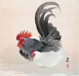 Chicken and Rooster (Ohara Koson) - Muzeo.com