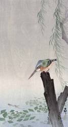 Kingfisher on Tree Stump (Ohara Koson) - Muzeo.com