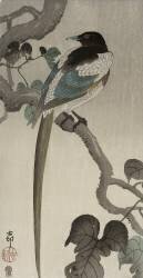 Magpie on a Pauwolna branch (Ohara Koson) - Muzeo.com