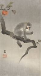 Monkey in a fruit tree (Ohara Koson) - Muzeo.com