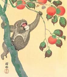 Monkey in a Persimmon Tree (Ohara Koson) - Muzeo.com
