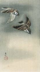 Sparrows in flight (Ohara Koson) - Muzeo.com