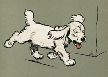 The White Puppy (Cecil Aldin) - Muzeo.com