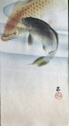 Two carps in a river (Ohara Koson) - Muzeo.com