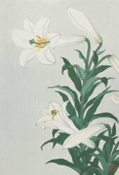 White Lily (Ohara Koson) - Muzeo.com
