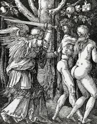 Petite passion - Adam et Eve chassés du Paradis (Albrecht Dürer) - Muzeo.com