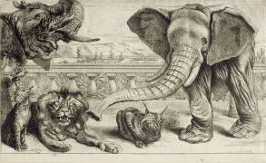 Animaux divers (Pieter Boel) - Muzeo.com
