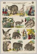 Animaux du jardin des Plantes (anonyme) - Muzeo.com