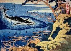 Chasse à la baleine au large de l'île de Goto (Hokusai) - Muzeo.com
