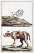 Chiens (anonyme) - Muzeo.com