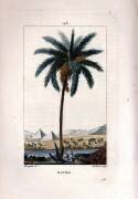 Datier (Pierre Jean Francois Turpin) - Muzeo.com