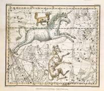 extrait d'un Atlas Céleste (Alexander Jamieson) - Muzeo.com