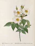 Gravures de l'ouvrage 