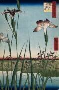 Iris à Horikiri (Hiroshige) - Muzeo.com